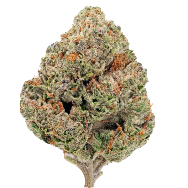 Gorilla Glue – THCa Flower
