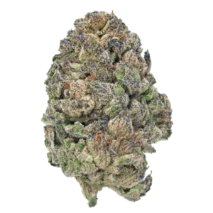 Mango Dream - THCa Flower