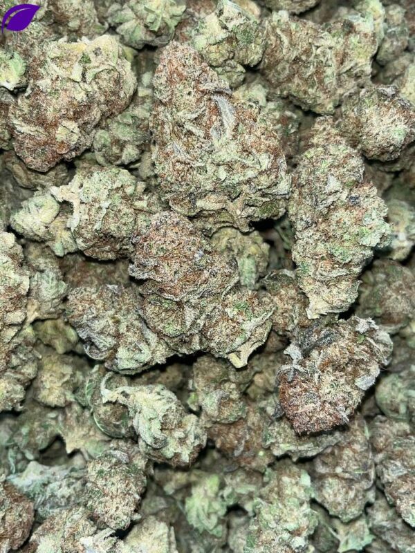 Blueberry Muffins THCa
