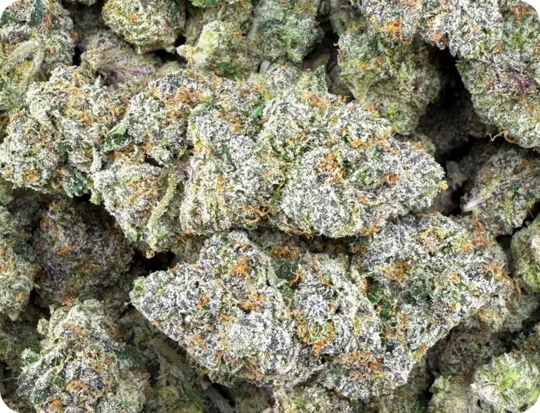 THCa Flower For Free