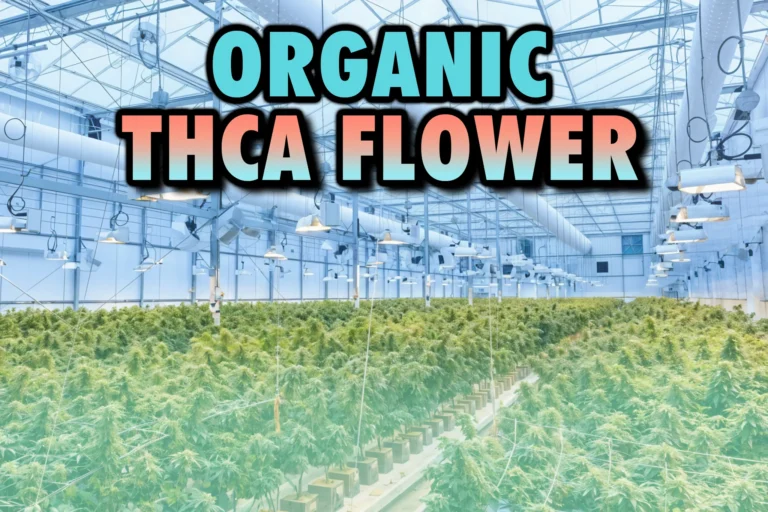 a large greenhouse with rows of plants